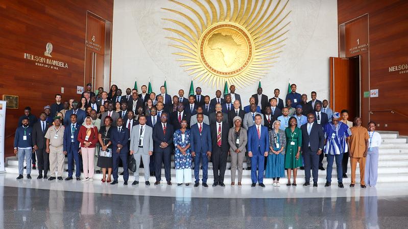 UNOAU participates in AU consultations on non-state armed groups