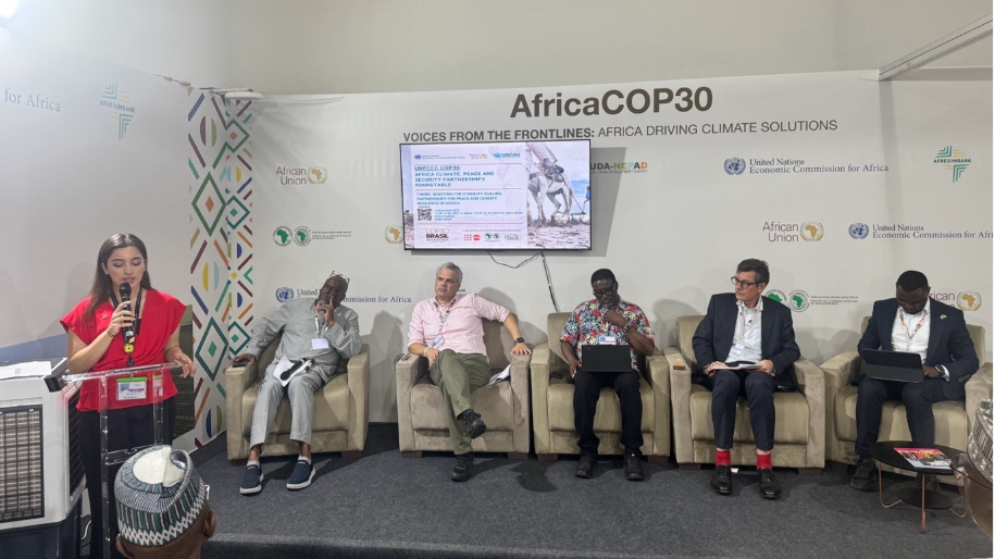 Adapting for Stability: Scaling Partnerships for Peace and Climate Resilience in Africa