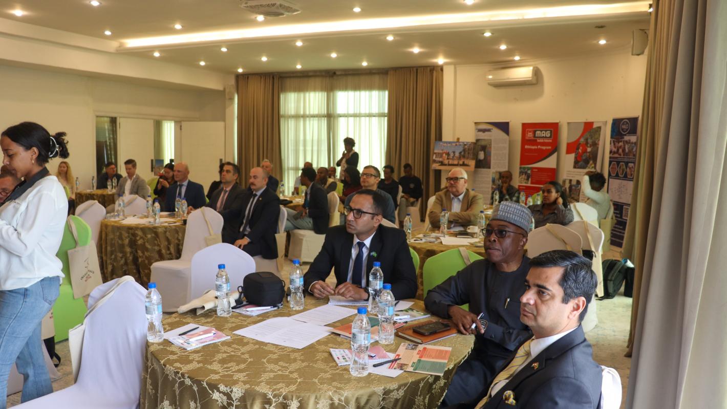 UNOAU participates in commemoration of International Mine Action Awareness and Assistance Day in Ethiopia