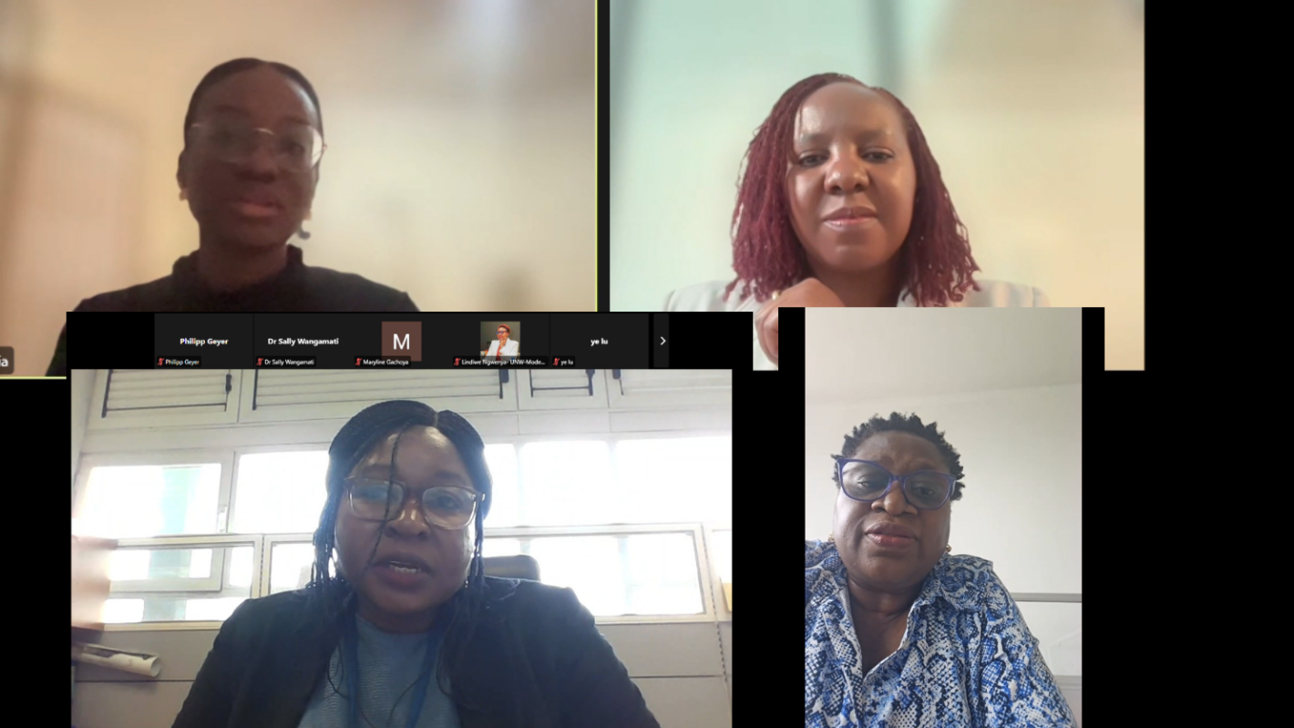 UNOAU participates in webinar on Women, Peace and Security and Youth, Peace and Security