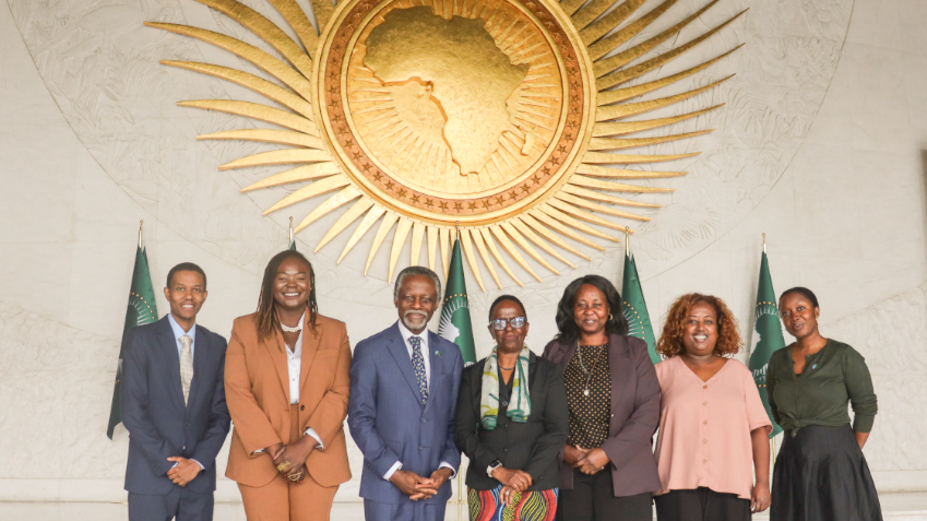 SRSG meets AU Special Envoy on Women, Peace and Security