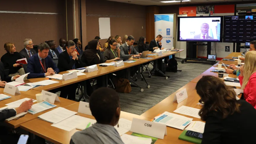 SRSG to the AU addresses Climate Security Mechanism Partnership Dialogue 2026
