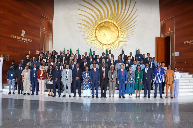UNOAU participates in AU consultations on non-state armed groups