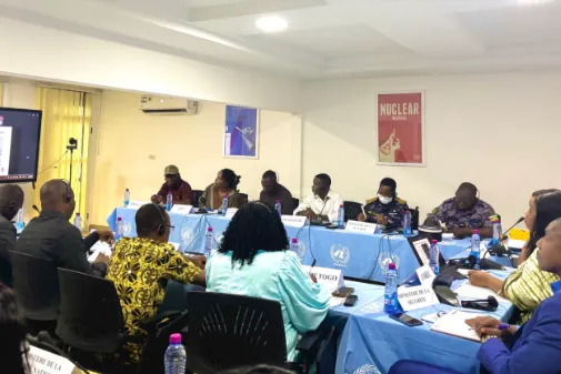 UNOAU participates in webinar on the gendered impact of small arms and light weapons in Africa