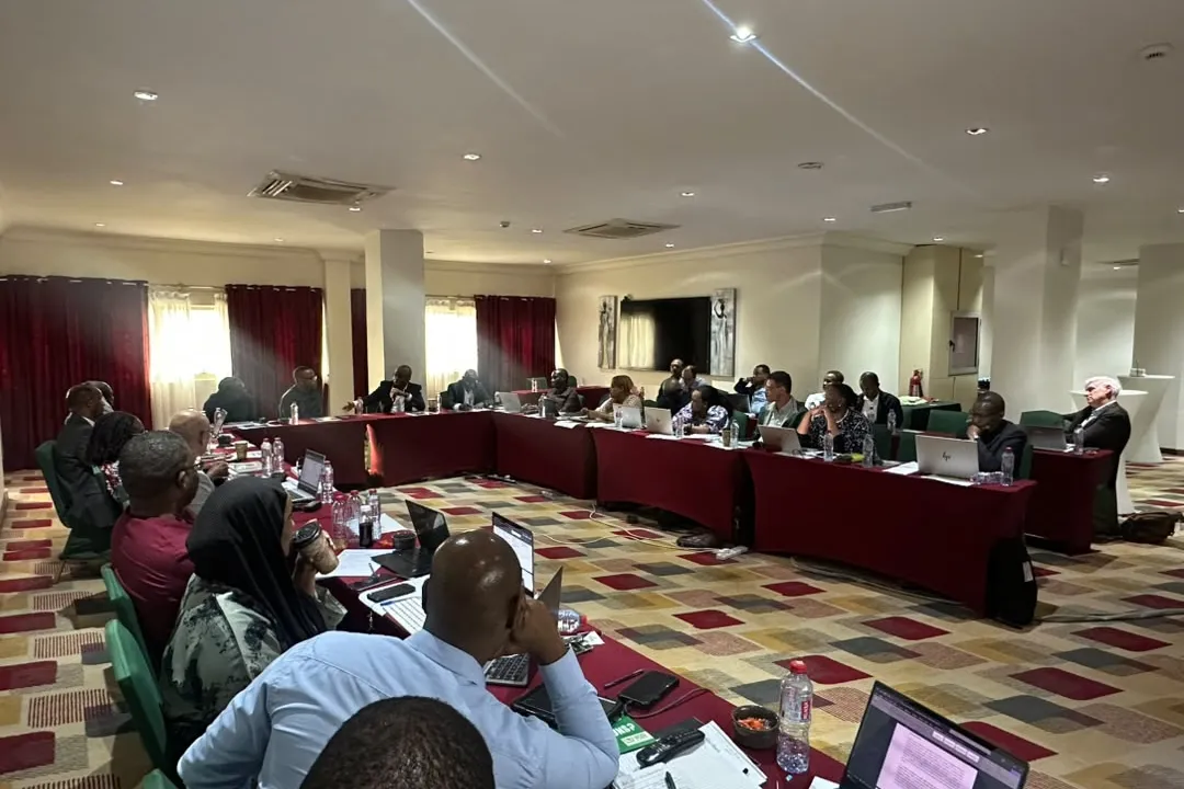 UNOAU supports development of AU policy on mental health and psychosocial support in peace operations
