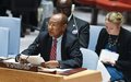 Security Council Considers Cooperation between UN and African Union