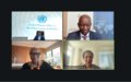 SRSG participates in a virtual event for Africa Day 