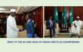 SRSG TO THE AU AND HEAD OF UNOAU MEETS AU CHAIRPERSON