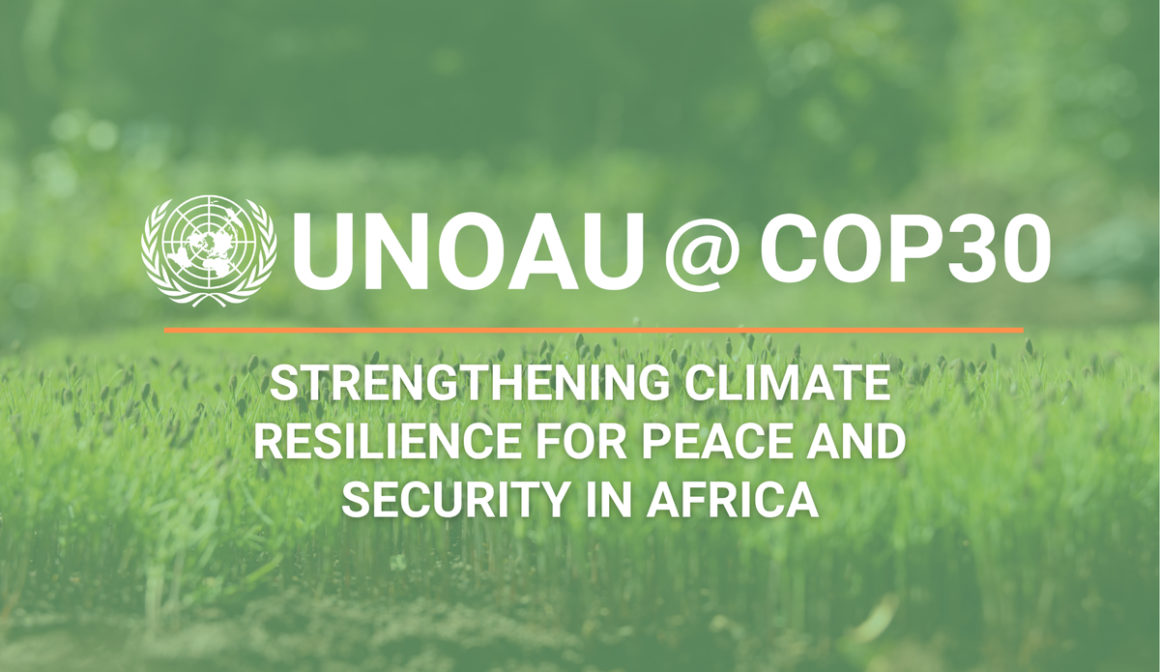 COP 30 - Digital banner