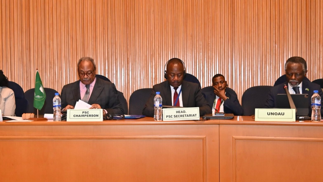 UNOAU participates in the AUPSC 1329th open session to commemorate the Fourth African Day of Peace and Reconciliation