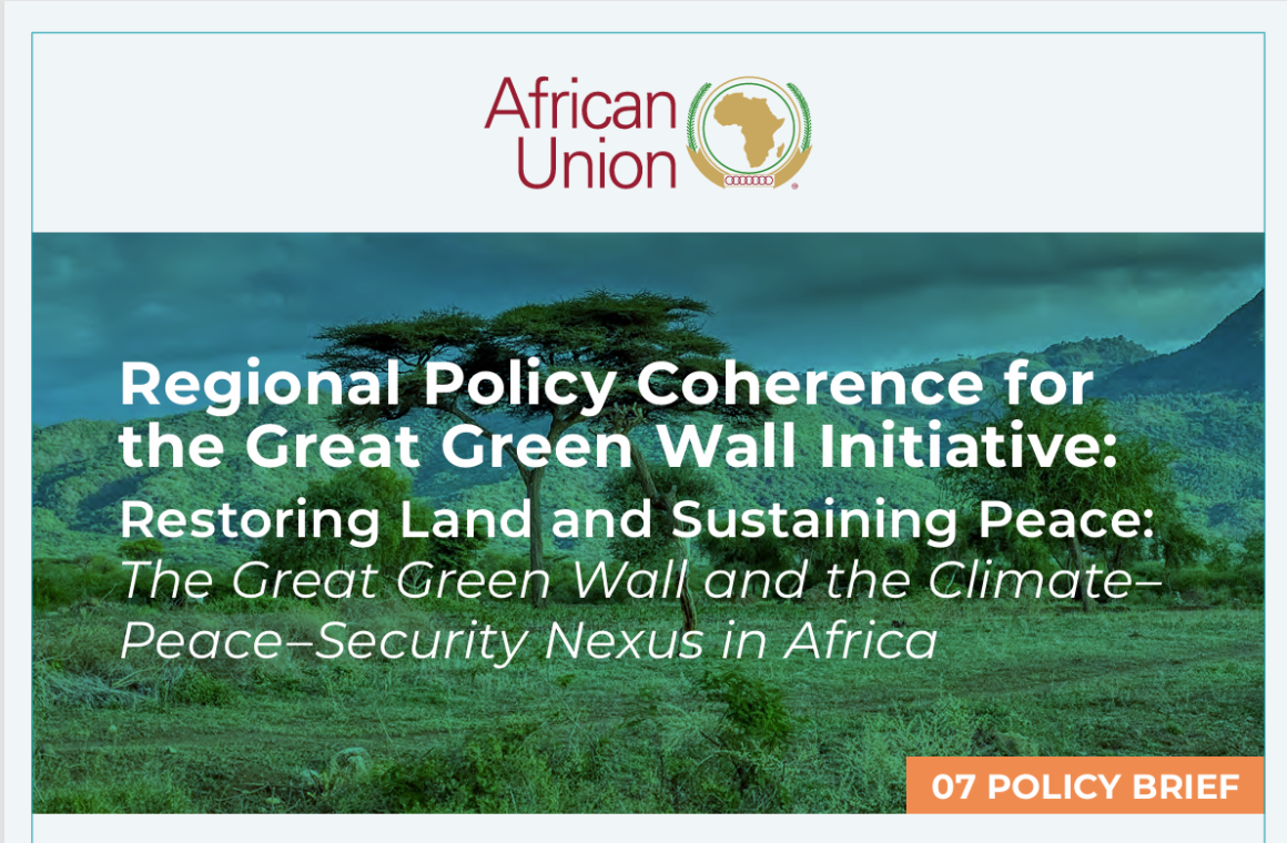  Coherence for the Great Green Wall Initiative