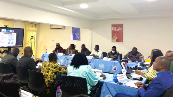 UNOAU participates in webinar on the gendered impact of small arms and light weapons in Africa