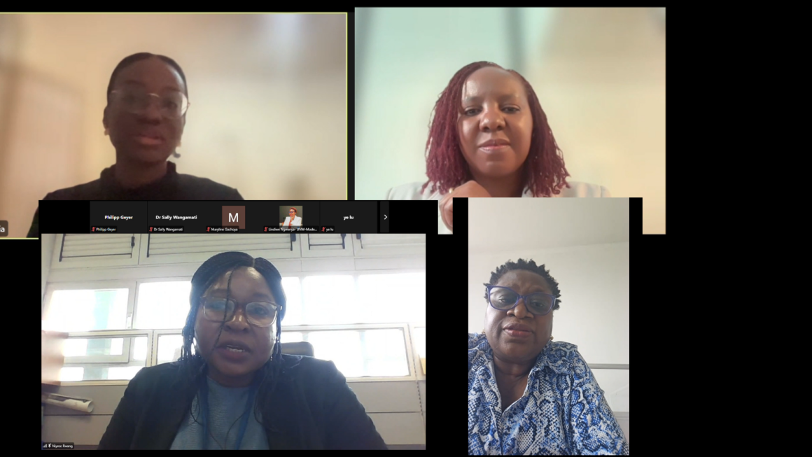 UNOAU participates in webinar on Women, Peace and Security and Youth, Peace and Security